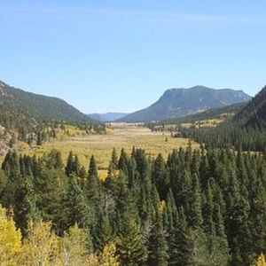 Meet your Posher, Jared